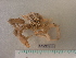  ( - MT08971)  @13 [ ] CreativeCommons - Attribution Non-Commercial Share-Alike (2014) Michael Raupach Deutsche Zentrum fuer Marine Biodiversitaetsforschung
