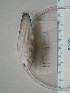  ( - MT04201)  @12 [ ] Unspecified (default): All Rights Reserved (2013) Thomas Knebelsberger Deutsches Zentrum fuer Marine Biodiversitaetsforschung