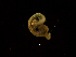  ( - MT03410)  @12 [ ] CreativeCommons - Attribution Non-Commercial Share-Alike (2011) Inga Mohrbeck DZMB