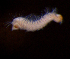  ( - MT03463)  @11 [ ] CreativeCommons - Attribution Non-Commercial Share-Alike (2011) Inga Mohrbeck DZMB