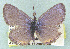  ( - CSU-CPG-LEP 1509)  @12 [ ] Unspecified (default): All Rights Reserved  Unspecified Unspecified