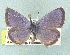  ( - CSU-CPG-LEP 1511)  @12 [ ] Unspecified (default): All Rights Reserved  Unspecified Unspecified