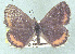  ( - CSU-CPG-LEP 1512)  @12 [ ] Unspecified (default): All Rights Reserved  Unspecified Unspecified