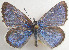  ( - CSU-CPG-LEP 1541)  @13 [ ] Unspecified (default): All Rights Reserved  Unspecified Unspecified