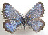  ( - CSU-CPG-LEP 1579)  @13 [ ] Unspecified (default): All Rights Reserved  Unspecified Unspecified