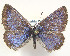  ( - CSU-CPG-LEP 1580)  @14 [ ] Unspecified (default): All Rights Reserved  Unspecified Unspecified