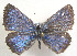  ( - CSU-CPG-LEP 1581)  @13 [ ] Unspecified (default): All Rights Reserved  Unspecified Unspecified