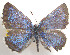  ( - CSU-CPG-LEP 1582)  @13 [ ] Unspecified (default): All Rights Reserved  Unspecified Unspecified