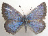  ( - CSU-CPG-LEP 1584)  @13 [ ] Unspecified (default): All Rights Reserved  Unspecified Unspecified