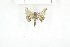  ( - BC-TB7993)  @13 [ ] Copyright (2010) Thierry Bouyer Research Collection of Phillipe Leonard