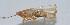  ( - Con005)  @12 [ ] CreativeCommons - Attribution (2010) Zhi-Jun Zhou Centre for Biodiversity Genomics
