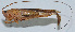  ( - Con013)  @13 [ ] CreativeCommons - Attribution (2010) Zhi-Jun Zhou Centre for Biodiversity Genomics