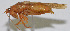  ( - Con025)  @12 [ ] CreativeCommons - Attribution (2010) Zhi-Jun Zhou Centre for Biodiversity Genomics
