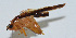  ( - Con035)  @12 [ ] CreativeCommons - Attribution (2010) Zhi-Jun Zhou Centre for Biodiversity Genomics