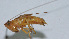  ( - Con057)  @12 [ ] CreativeCommons - Attribution (2010) Zhi-Jun Zhou Centre for Biodiversity Genomics