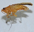  ( - Con073)  @12 [ ] CreativeCommons - Attribution (2010) Zhi-Jun Zhou Centre for Biodiversity Genomics