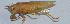  ( - Con143)  @12 [ ] CreativeCommons - Attribution (2010) Zhi-Jun Zhou Centre for Biodiversity Genomics