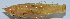 ( - Con145)  @12 [ ] CreativeCommons - Attribution (2010) Zhi-Jun Zhou Centre for Biodiversity Genomics