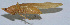  ( - Con147)  @12 [ ] CreativeCommons - Attribution (2010) Zhi-Jun Zhou Centre for Biodiversity Genomics