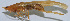  ( - Con149)  @12 [ ] CreativeCommons - Attribution (2010) Zhi-Jun Zhou Centre for Biodiversity Genomics