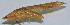  ( - Con153)  @12 [ ] CreativeCommons - Attribution (2010) Zhi-Jun Zhou Centre for Biodiversity Genomics
