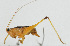  ( - Con175)  @12 [ ] CreativeCommons - Attribution (2010) Zhi-Jun Zhou Centre for Biodiversity Genomics