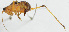  ( - Con176)  @12 [ ] CreativeCommons - Attribution (2010) Zhi-Jun Zhou Centre for Biodiversity Genomics