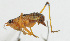  ( - Con177)  @12 [ ] CreativeCommons - Attribution (2010) Zhi-Jun Zhou Centre for Biodiversity Genomics