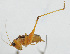  ( - Con178)  @12 [ ] CreativeCommons - Attribution (2010) Zhi-Jun Zhou Centre for Biodiversity Genomics