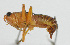  ( - Con180)  @12 [ ] CreativeCommons - Attribution (2010) Zhi-Jun Zhou Centre for Biodiversity Genomics