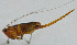  ( - Con181)  @12 [ ] CreativeCommons - Attribution (2010) Zhi-Jun Zhou Centre for Biodiversity Genomics