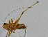  ( - Con185)  @12 [ ] CreativeCommons - Attribution (2010) Zhi-Jun Zhou Centre for Biodiversity Genomics