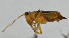 ( - Con186)  @12 [ ] CreativeCommons - Attribution (2010) Zhi-Jun Zhou Centre for Biodiversity Genomics