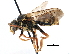  ( - CCDB-09855 G10)  @14 [ ] CreativeCommons - Attribution (2016) CBG Photography Group Centre for Biodiversity Genomics