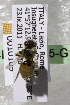  (Andrena ITA01 - CCDB-15265-G11)  @13 [ ] CreativeCommons - Attribution Non-Commercial Share-Alike (2012) Packer Collection York University York University