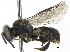  ( - 06744D09-THA)  @15 [ ] CreativeCommons - Attribution (2016) CBG Photography Group Centre for Biodiversity Genomics