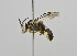  ( - B3265-E02)  @11 [ ] CreativeCommons - Attribution Non-Commercial Share-Alike (2010) Unspecified York University
