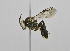  ( - B3265-E06)  @11 [ ] CreativeCommons - Attribution Non-Commercial Share-Alike (2010) Unspecified York University