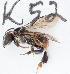 ( - CCDB-30343 E04)  @11 [ ] CreativeCommons - Attribution (2015) Laurence Packer York University