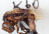  ( - CCDB-30343 E12)  @13 [ ] CreativeCommons - Attribution (2015) Laurence Packer York University