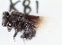  ( - CCDB-30343 G09)  @13 [ ] CreativeCommons - Attribution (2015) Laurence Packer York University