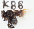 ( - CCDB-30343 H04)  @11 [ ] CreativeCommons - Attribution (2015) Laurence Packer York University