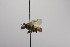  ( - CCDB-00600 H01)  @13 [ ] Unspecified (default): All Rights Reserved  Unspecified Unspecified