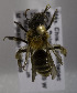  (Andrena mexsp - B03741E02-MEX)  @11 [ ] CreativeCommons - Attribution Non-Commercial Share-Alike (2010) Unspecified York University