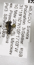  (Andrena MEX26 - 04745G04-MEX)  @11 [ ] CreativeCommons - Attribution Non-Commercial Share-Alike (2010) Unspecified York University
