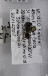  (Andrena MEX19 - 04745G08-MEX)  @13 [ ] CreativeCommons - Attribution Non-Commercial Share-Alike (2010) Unspecified York University