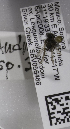  (Andrena MEX30 - 04745E07-MEX)  @11 [ ] CreativeCommons - Attribution Non-Commercial Share-Alike (2010) Unspecified York University