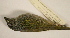  ( - MBM 5028)  @13 [ ] Unspecified (default): All Rights Reserved  Unspecified Unspecified