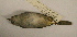  ( - MBM 5028)  @13 [ ] Unspecified (default): All Rights Reserved  Unspecified Unspecified