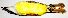  ( - CNAV029986)  @14 [ ] Unspecified (default): All Rights Reserved  Unspecified Unspecified